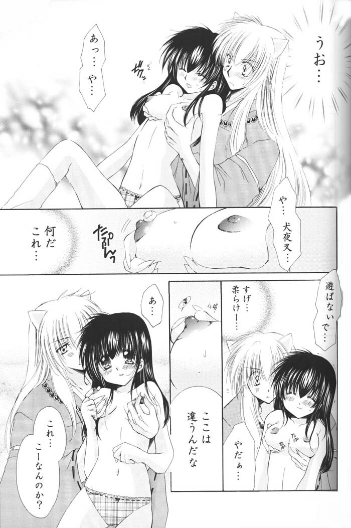 (C69) [Sakurakan (Seriou Sakura)] Hoshi no furitsumoru yoru ni (Inuyasha) page 55 full