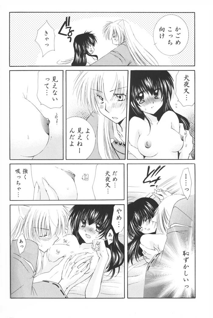 (C69) [Sakurakan (Seriou Sakura)] Hoshi no furitsumoru yoru ni (Inuyasha) page 56 full