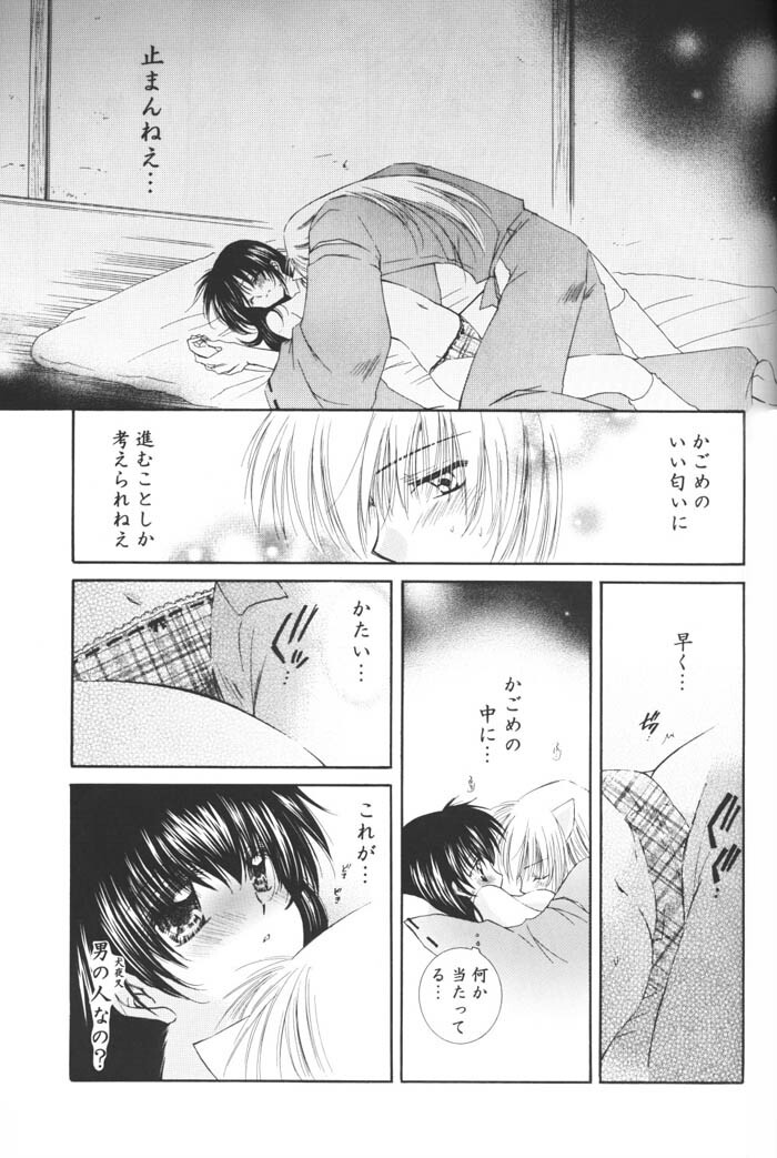 (C69) [Sakurakan (Seriou Sakura)] Hoshi no furitsumoru yoru ni (Inuyasha) page 57 full