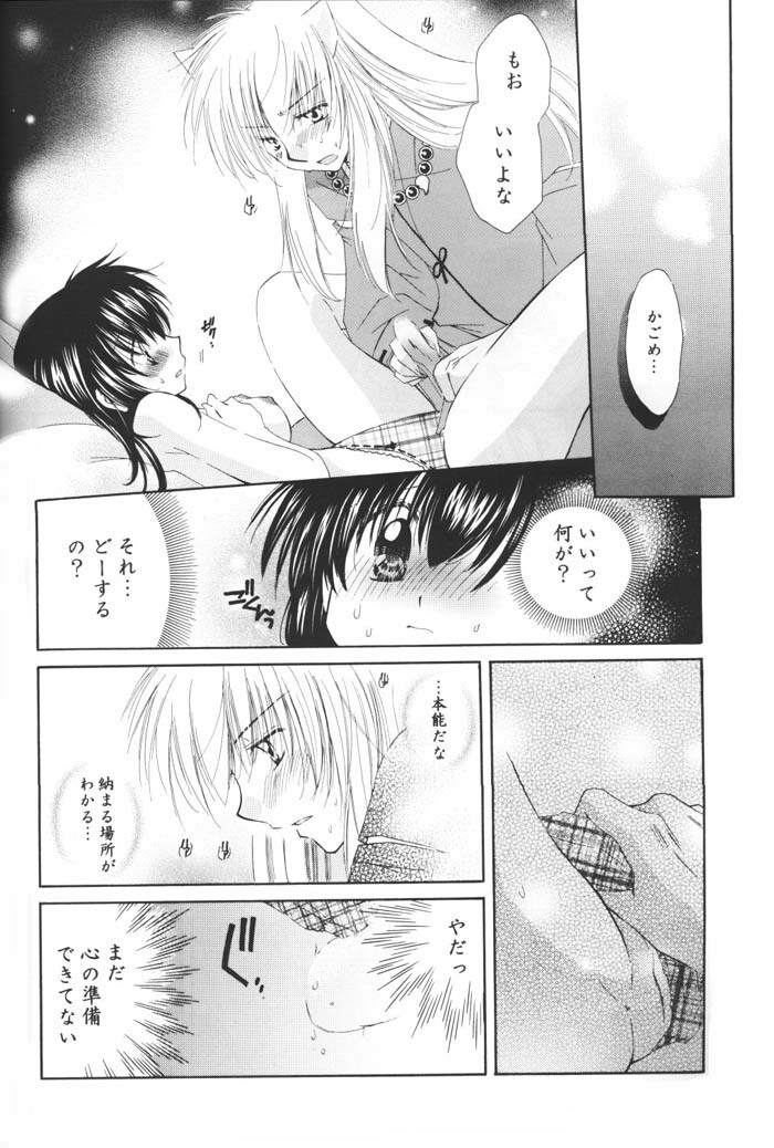 (C69) [Sakurakan (Seriou Sakura)] Hoshi no furitsumoru yoru ni (Inuyasha) page 58 full