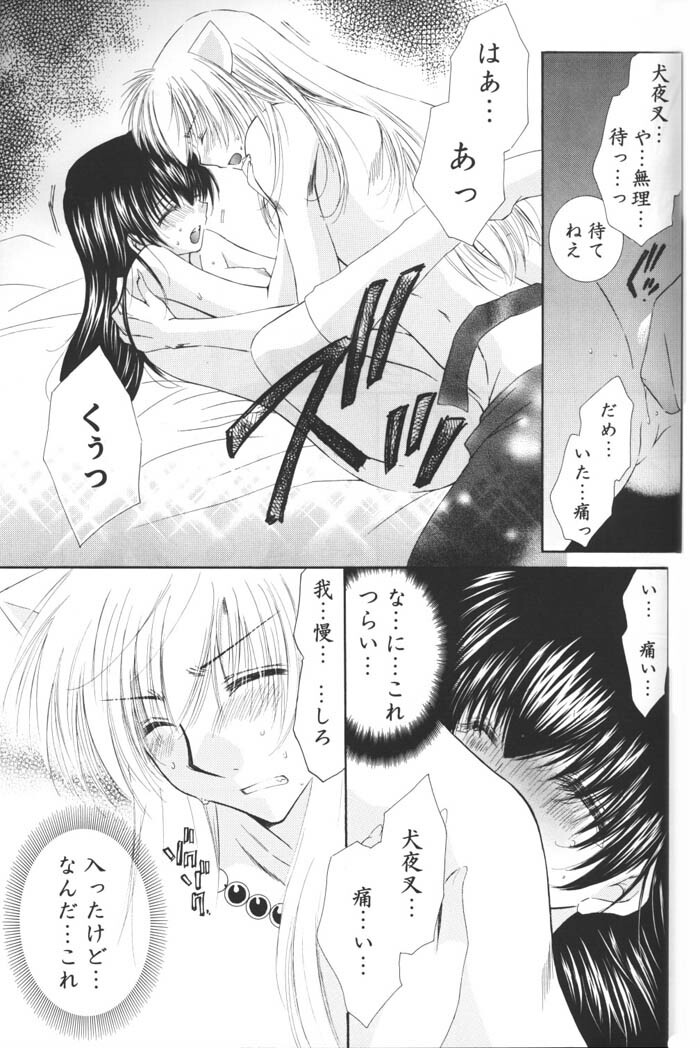 (C69) [Sakurakan (Seriou Sakura)] Hoshi no furitsumoru yoru ni (Inuyasha) page 61 full