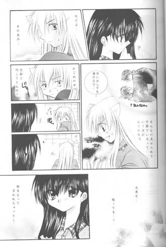 (C61) [Sakurakan (Seriou Sakura)] Mori no Naka no Chiisana Tsubasa (Inuyasha) page 18 full