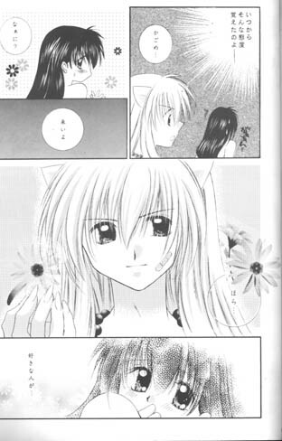 (C61) [Sakurakan (Seriou Sakura)] Mori no Naka no Chiisana Tsubasa (Inuyasha) page 54 full