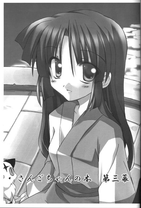 (C65) [Sumitan (Satou Kibi)] Sango-chan no Hon - Dai-san Maku (Inuyasha) page 2 full