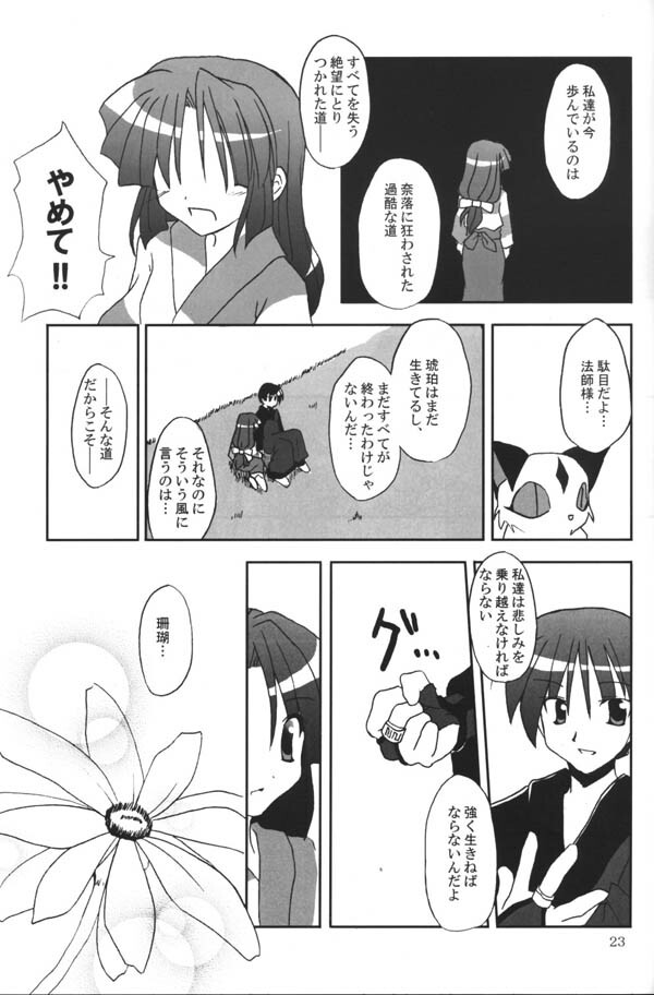 (C65) [Sumitan (Satou Kibi)] Sango-chan no Hon - Dai-san Maku (Inuyasha) page 21 full