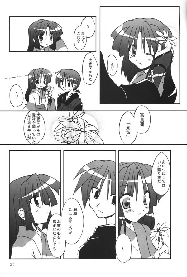 (C65) [Sumitan (Satou Kibi)] Sango-chan no Hon - Dai-san Maku (Inuyasha) page 22 full