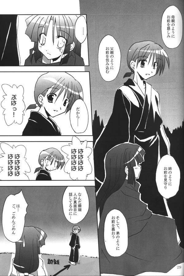 (C65) [Sumitan (Satou Kibi)] Sango-chan no Hon - Dai-san Maku (Inuyasha) page 27 full