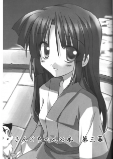 (C65) [Sumitan (Satou Kibi)] Sango-chan no Hon - Dai-san Maku (Inuyasha) - page 2