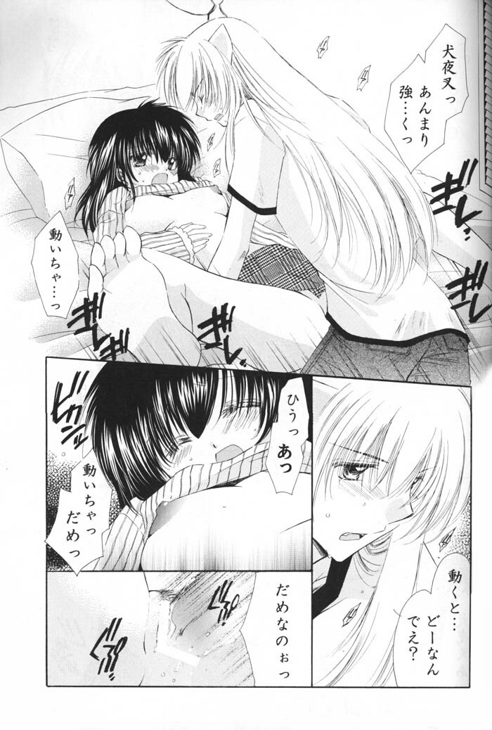 (C69) [Sakurakan (Seriou Sakura)] Oinu-sama to Atashi. (Inuyasha) page 24 full