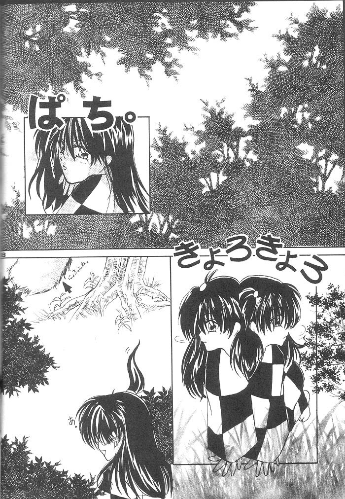 (Comic Creation 13) [Hero Hero Honpo (Kamiryou Kaduki)] VELVET LOVE (Inuyasha) page 27 full