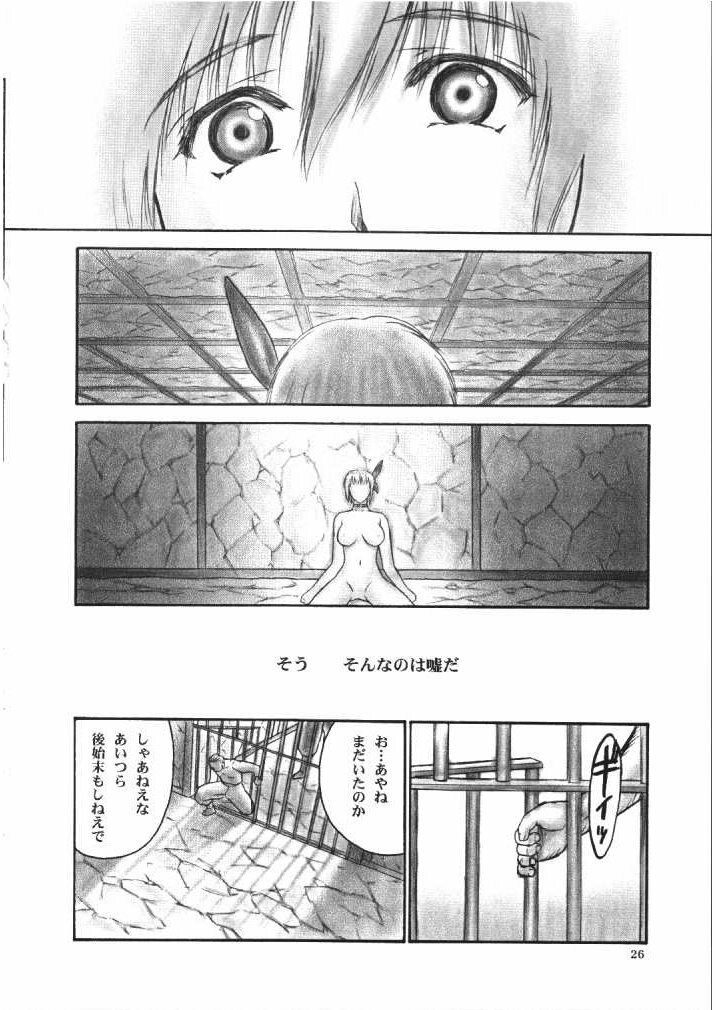 (C66) [Hellabunna (Iruma Kamiri)] INU/Intimacy (Dead or Alive) page 25 full