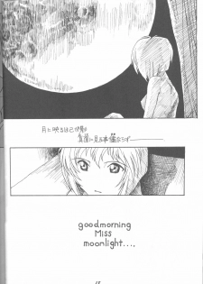 (C49) [Monochrome (Various)] DUMMY LIP (Neon Genesis Evangelion, Bakuretsu Hunters) - page 17
