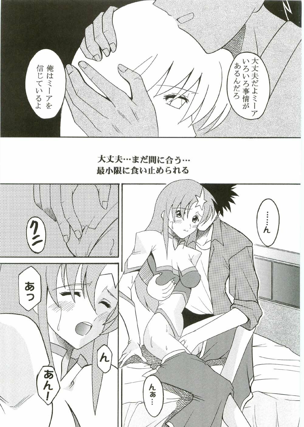 [St. Rio (Kitty, Ishikawa Ippei)] COSMIC BREED 2 (Gundam SEED DESTINY) page 10 full