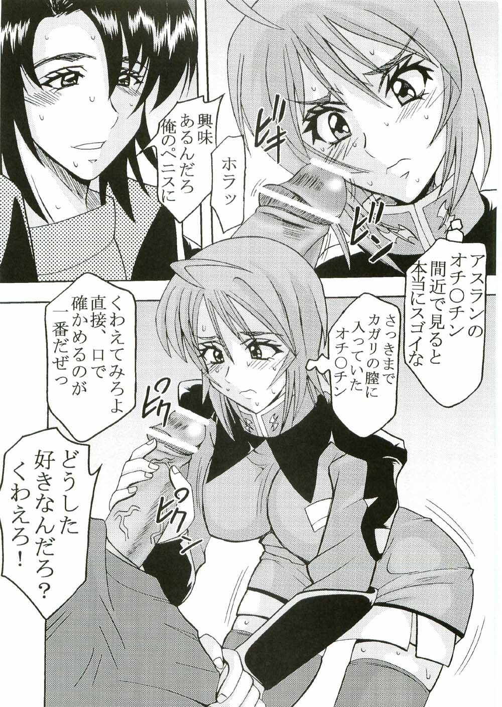 [St. Rio (Kitty, Ishikawa Ippei)] COSMIC BREED 2 (Gundam SEED DESTINY) page 32 full