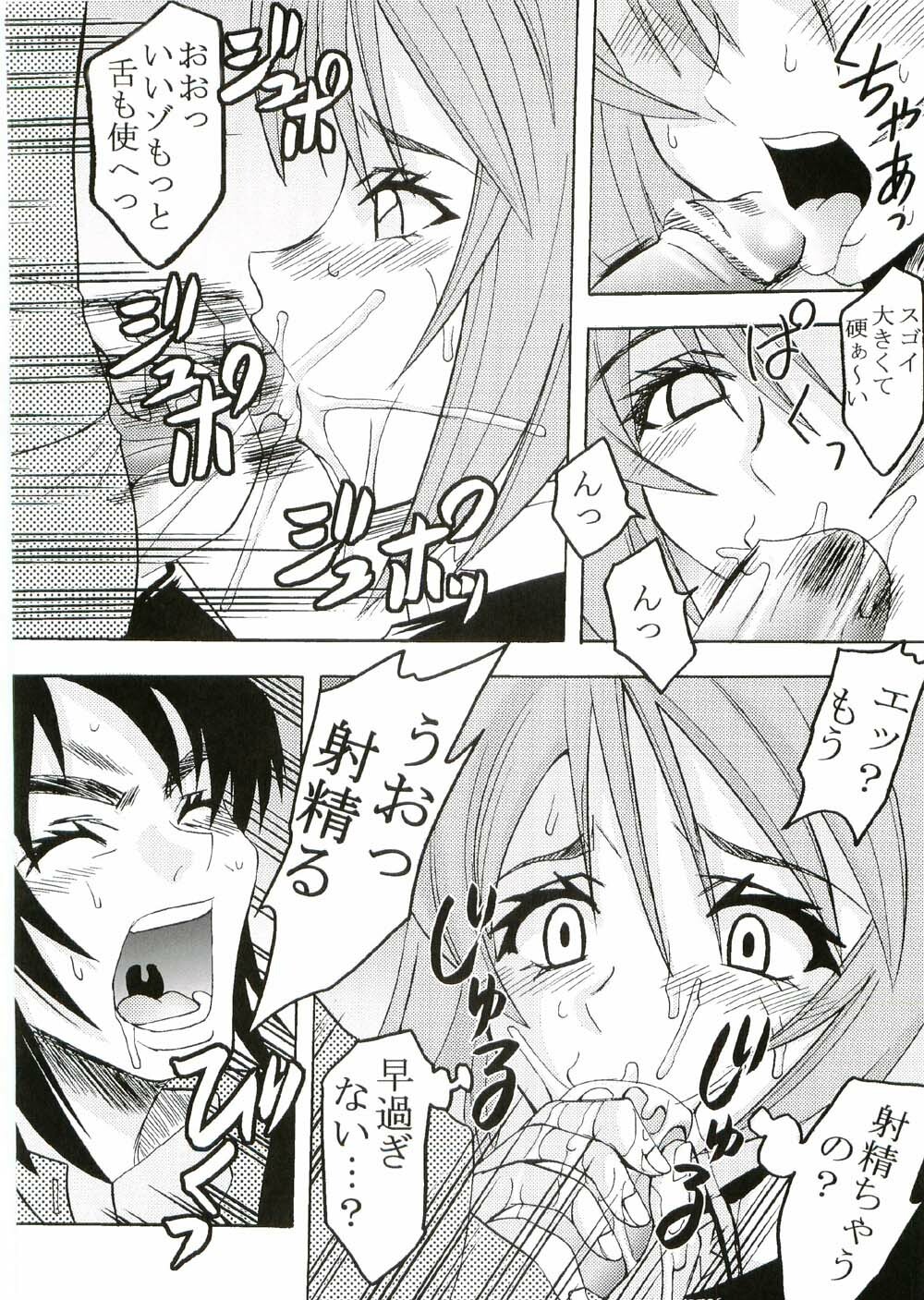 [St. Rio (Kitty, Ishikawa Ippei)] COSMIC BREED 2 (Gundam SEED DESTINY) page 33 full