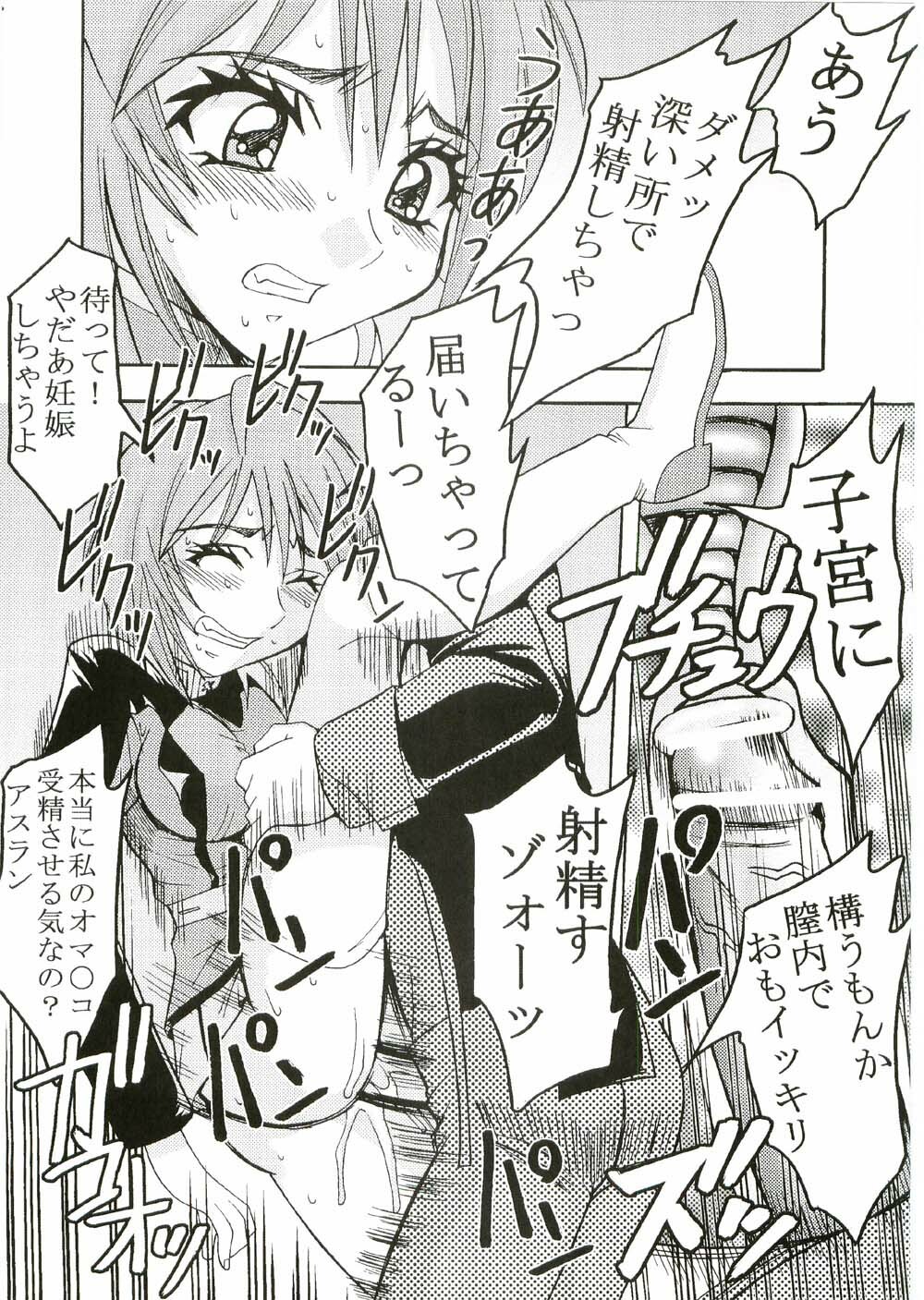 [St. Rio (Kitty, Ishikawa Ippei)] COSMIC BREED 2 (Gundam SEED DESTINY) page 42 full