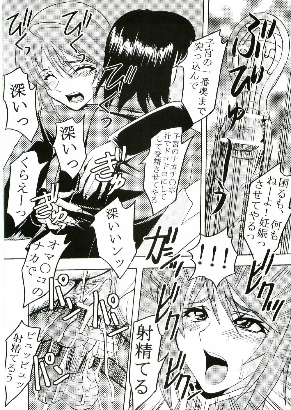 [St. Rio (Kitty, Ishikawa Ippei)] COSMIC BREED 2 (Gundam SEED DESTINY) page 45 full