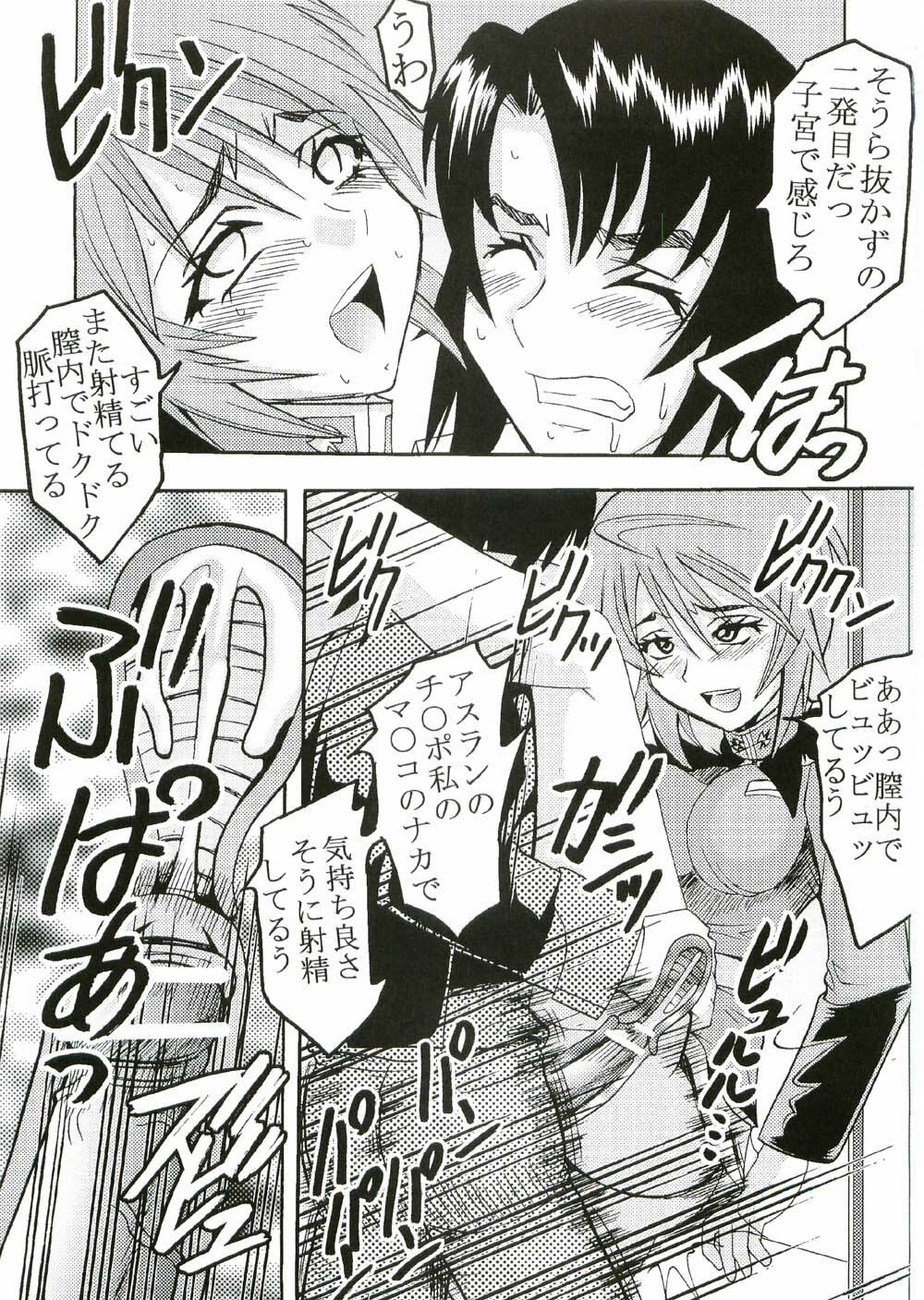 [St. Rio (Kitty, Ishikawa Ippei)] COSMIC BREED 2 (Gundam SEED DESTINY) page 48 full