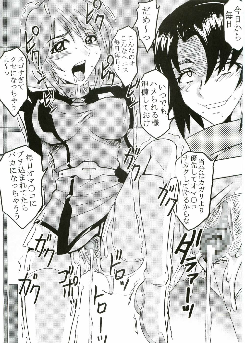 [St. Rio (Kitty, Ishikawa Ippei)] COSMIC BREED 2 (Gundam SEED DESTINY) page 50 full