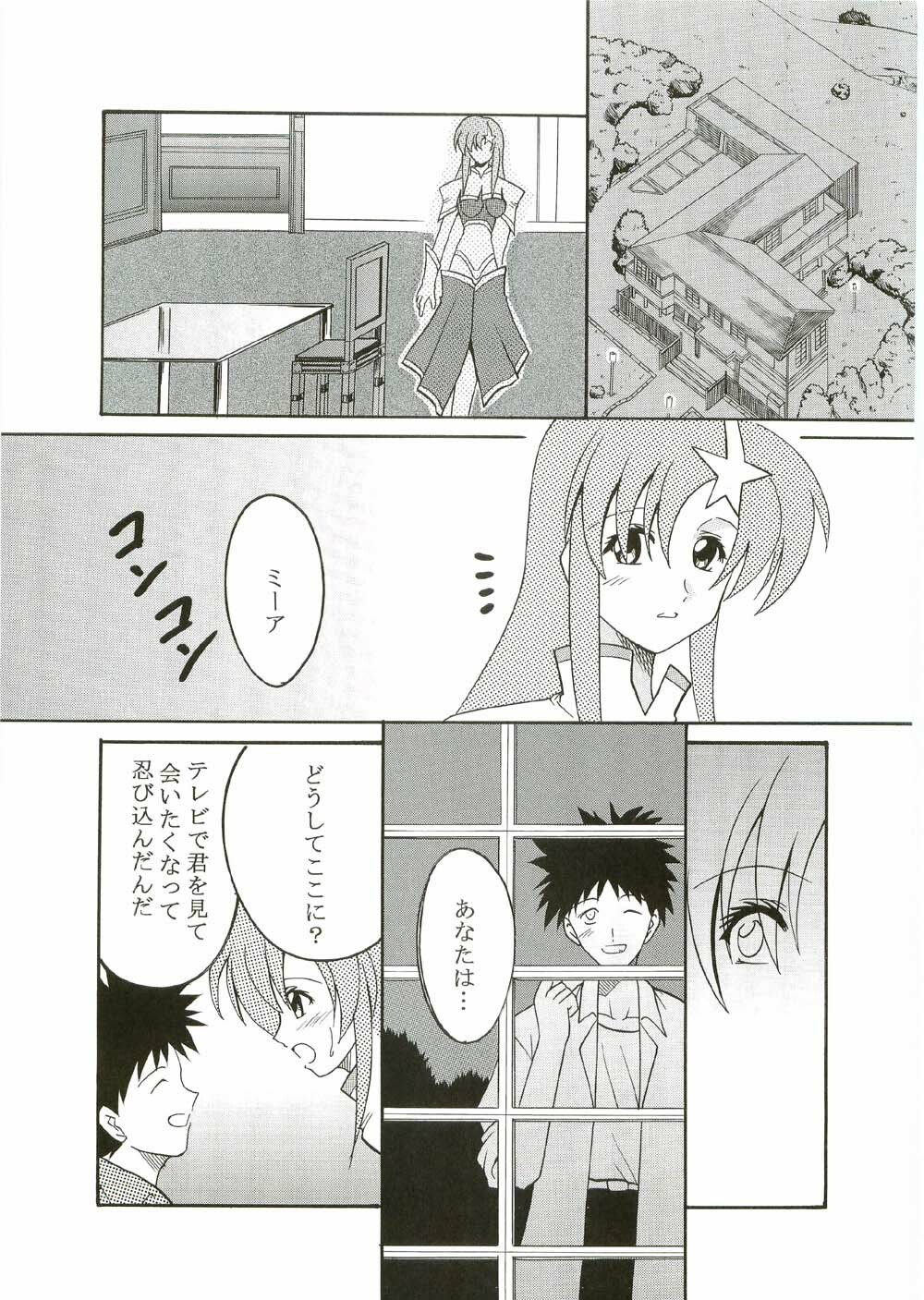 [St. Rio (Kitty, Ishikawa Ippei)] COSMIC BREED 2 (Gundam SEED DESTINY) page 8 full