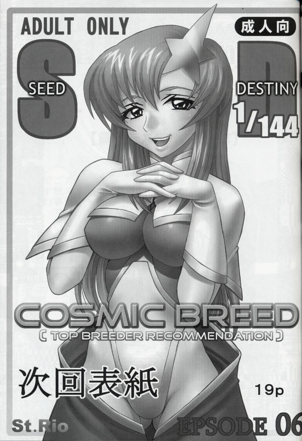 [St. Rio (Kitty, Kouenji Rei)] COSMIC BREED 5 (Gundam SEED DESTINY) page 20 full