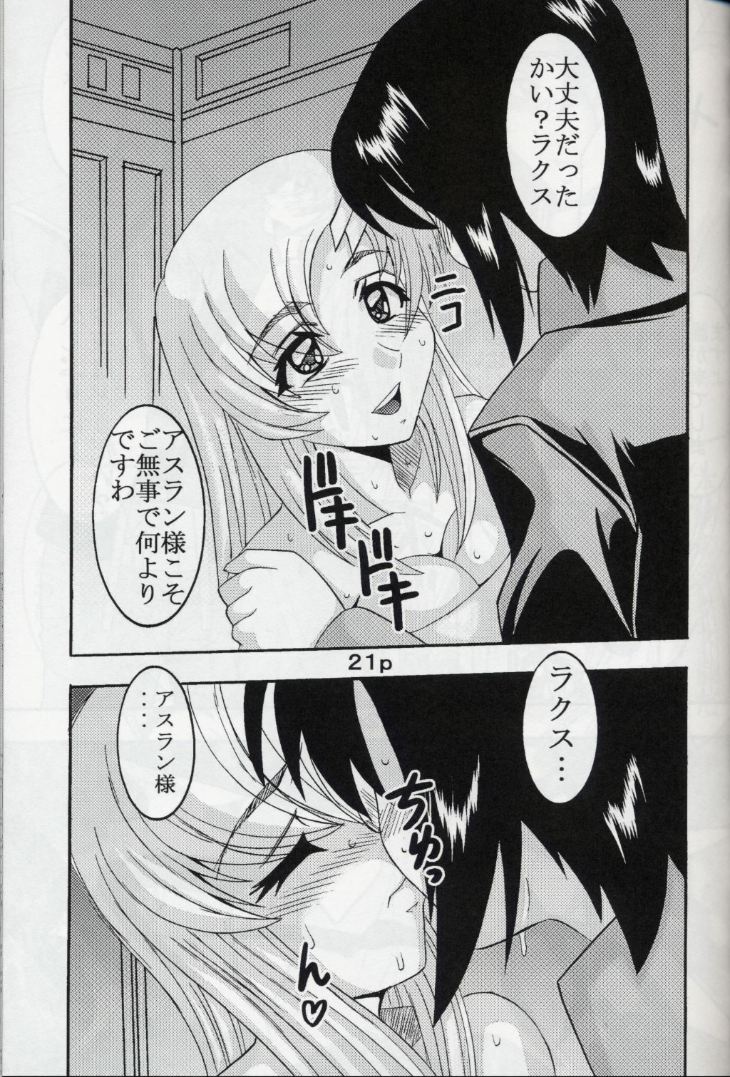 [St. Rio (Kitty, Kouenji Rei)] COSMIC BREED 5 (Gundam SEED DESTINY) page 22 full