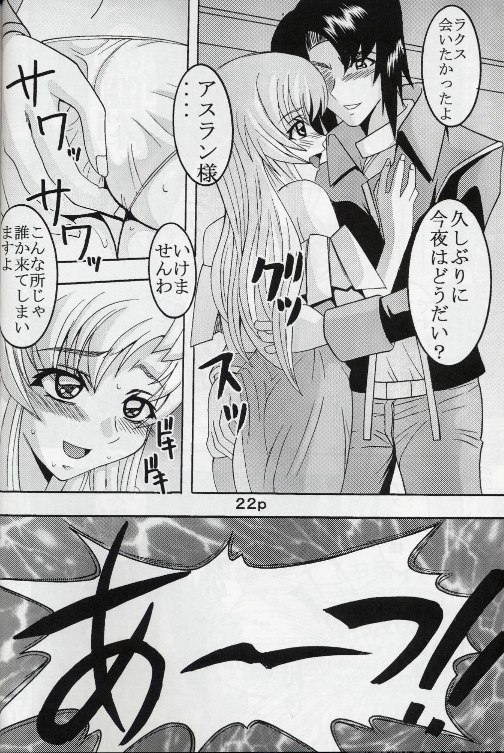 [St. Rio (Kitty, Kouenji Rei)] COSMIC BREED 5 (Gundam SEED DESTINY) page 23 full