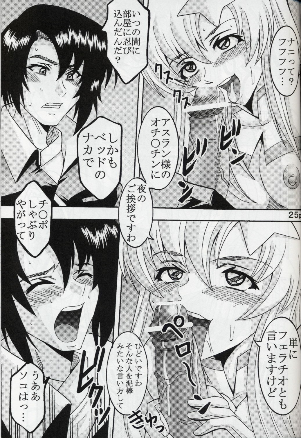 [St. Rio (Kitty, Kouenji Rei)] COSMIC BREED 5 (Gundam SEED DESTINY) page 26 full