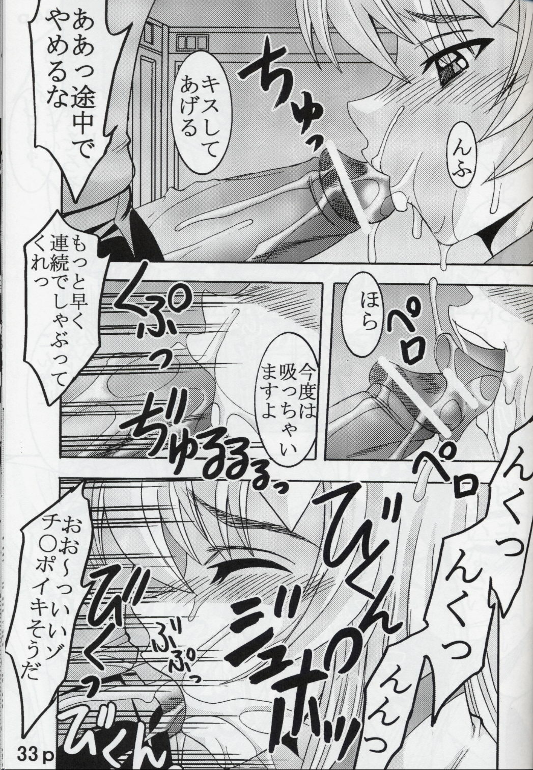 [St. Rio (Kitty, Kouenji Rei)] COSMIC BREED 5 (Gundam SEED DESTINY) page 34 full