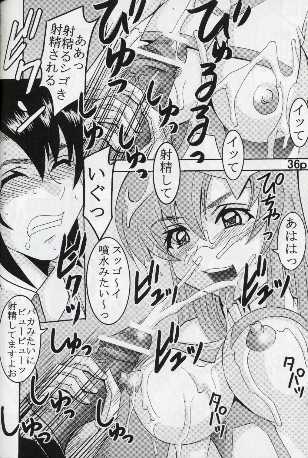 [St. Rio (Kitty, Kouenji Rei)] COSMIC BREED 5 (Gundam SEED DESTINY) page 37 full