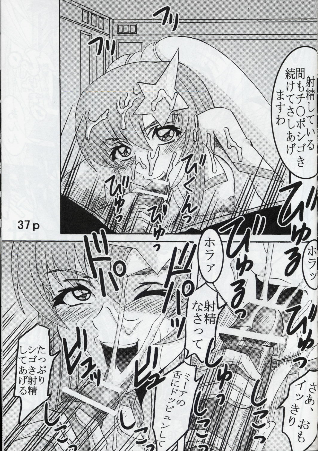 [St. Rio (Kitty, Kouenji Rei)] COSMIC BREED 5 (Gundam SEED DESTINY) page 38 full