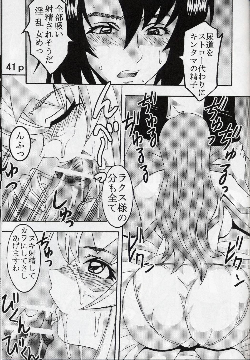 [St. Rio (Kitty, Kouenji Rei)] COSMIC BREED 5 (Gundam SEED DESTINY) page 42 full