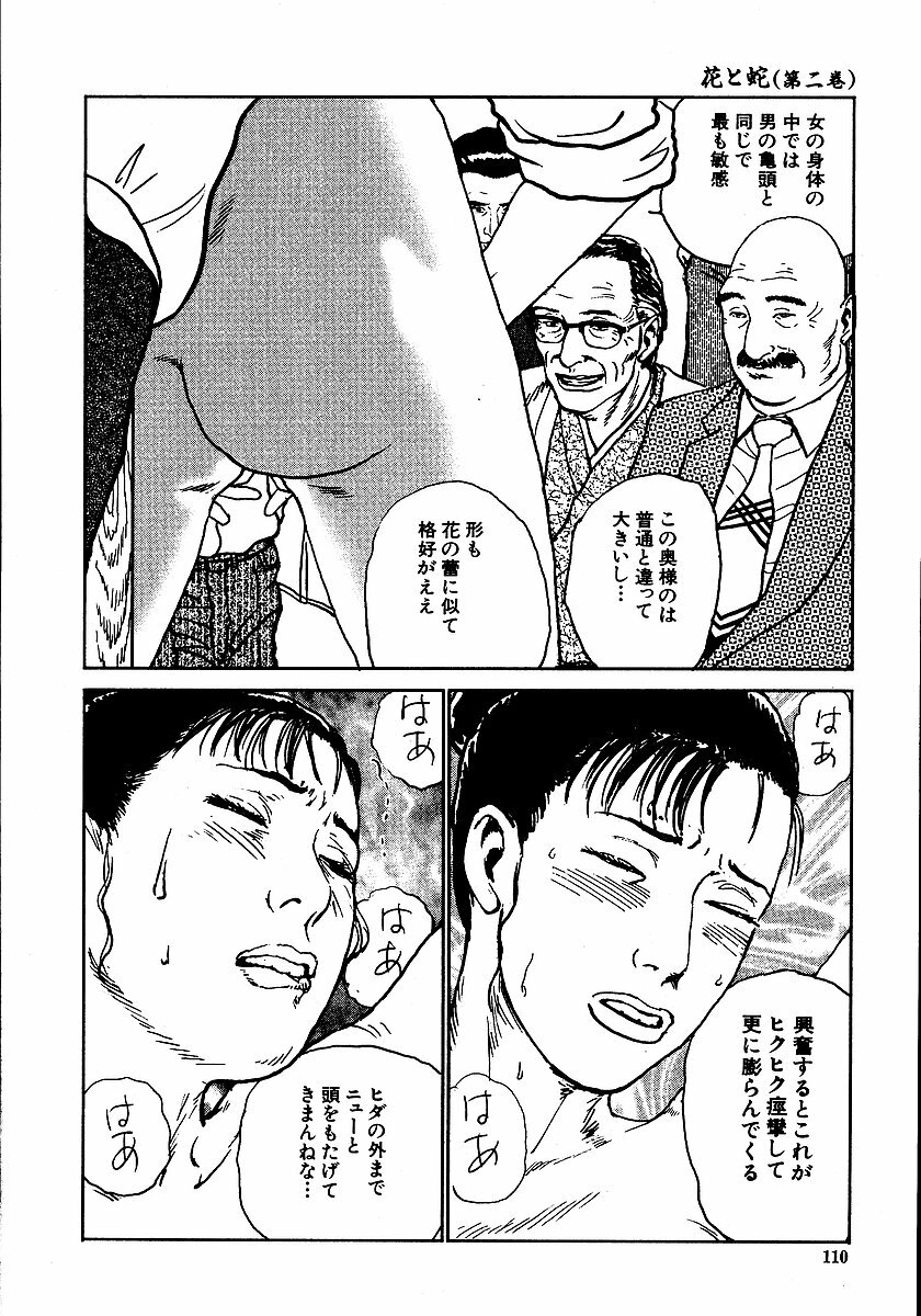 [Dan Oniroku, Osada Kaname] Hana to Hebi 2 page 115 full