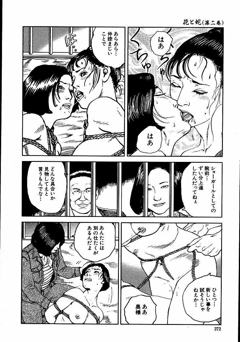 [Dan Oniroku, Osada Kaname] Hana to Hebi 2 page 277 full