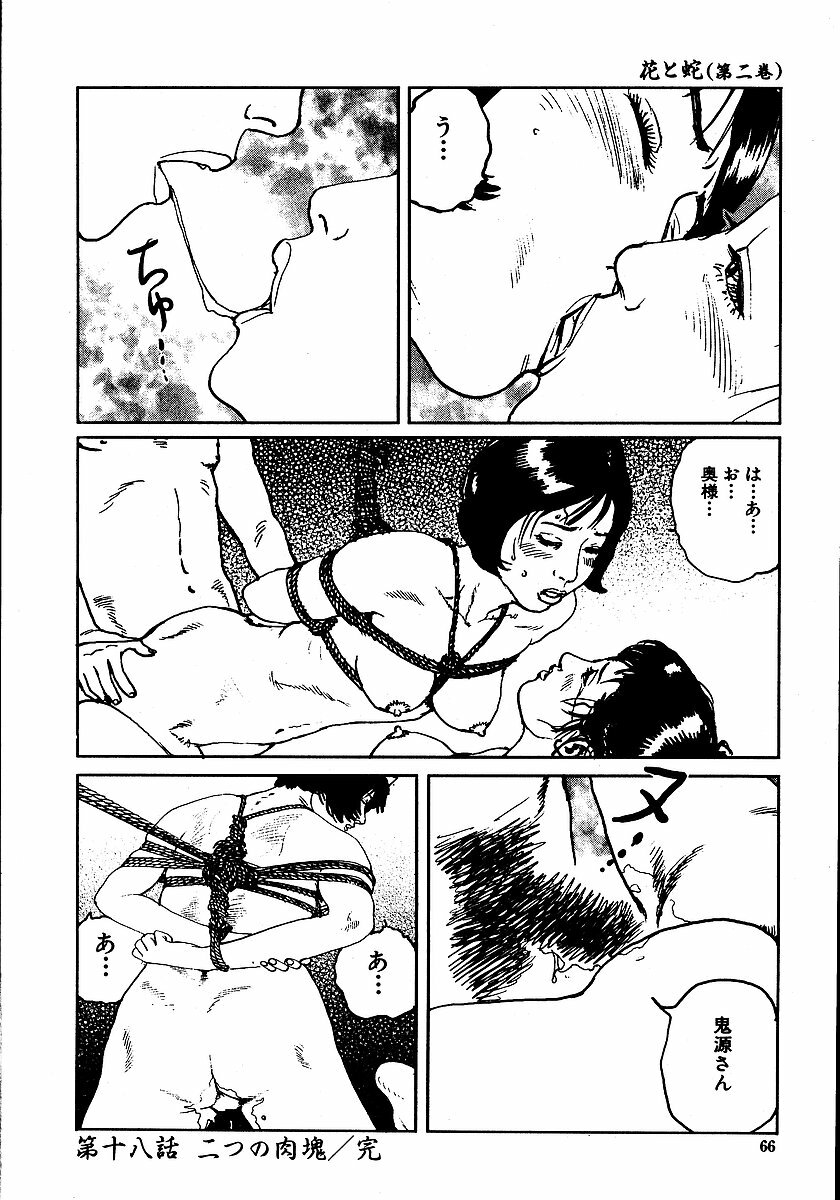 [Dan Oniroku, Osada Kaname] Hana to Hebi 2 page 71 full