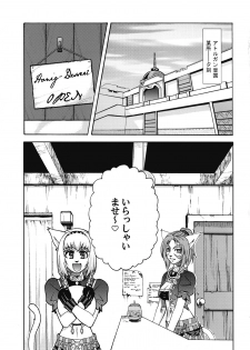 [ARCHENEMY (Kasumi Ryo)] Ein Joghurt wie ein Honig-Dessert. EXTENDED EDITION (Final Fantasy XI) - page 4