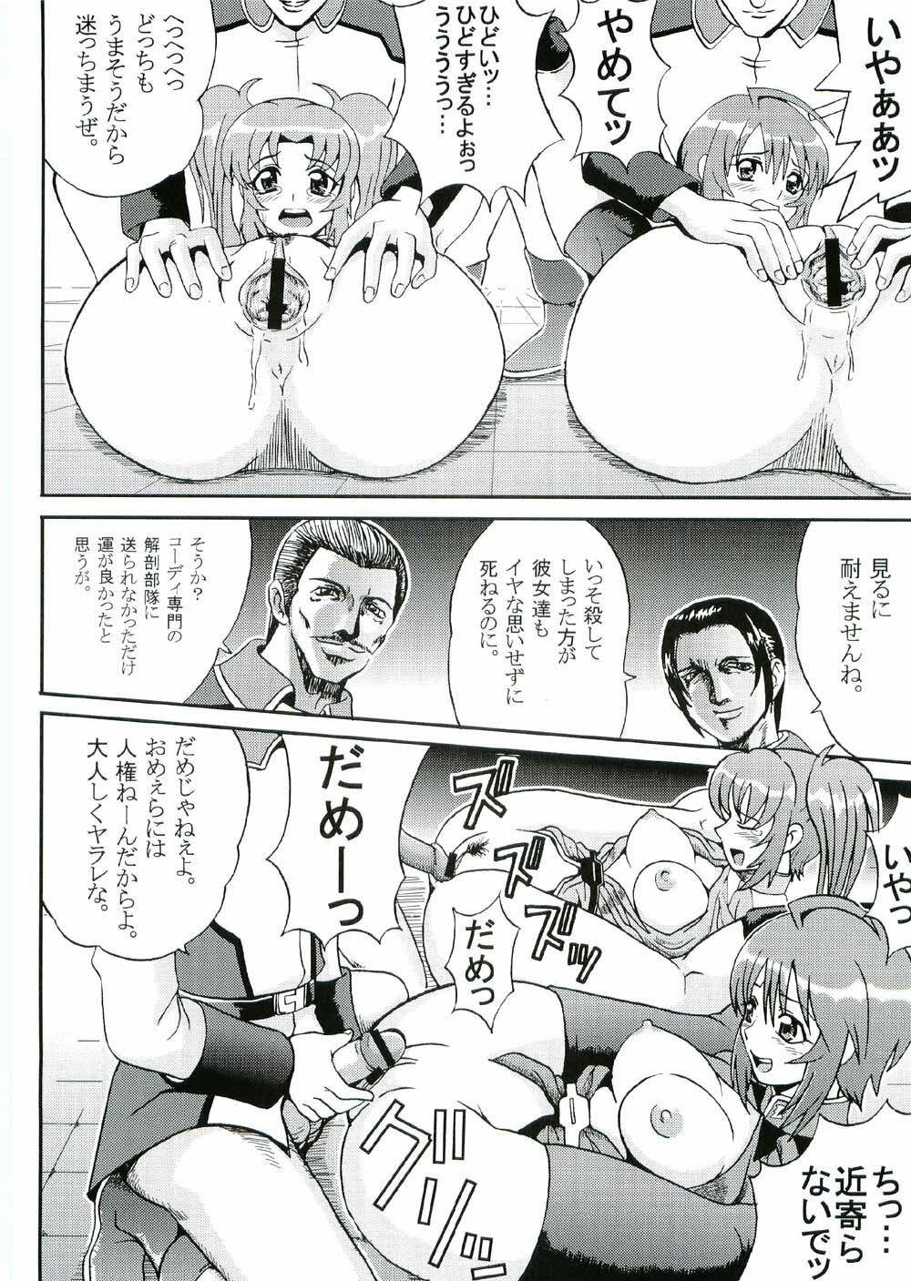 (CR37) [St. Rio (Kitty, Kouenji Rei)] COSMIC BREED 3 (Gundam SEED DESTINY) page 13 full