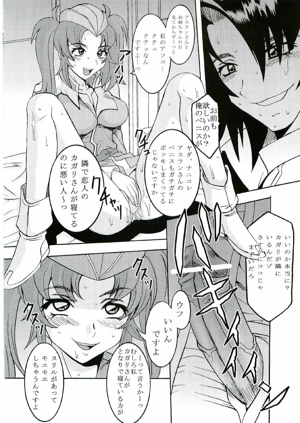 (CR37) [St. Rio (Kitty, Kouenji Rei)] COSMIC BREED 3 (Gundam SEED DESTINY) page 29 full