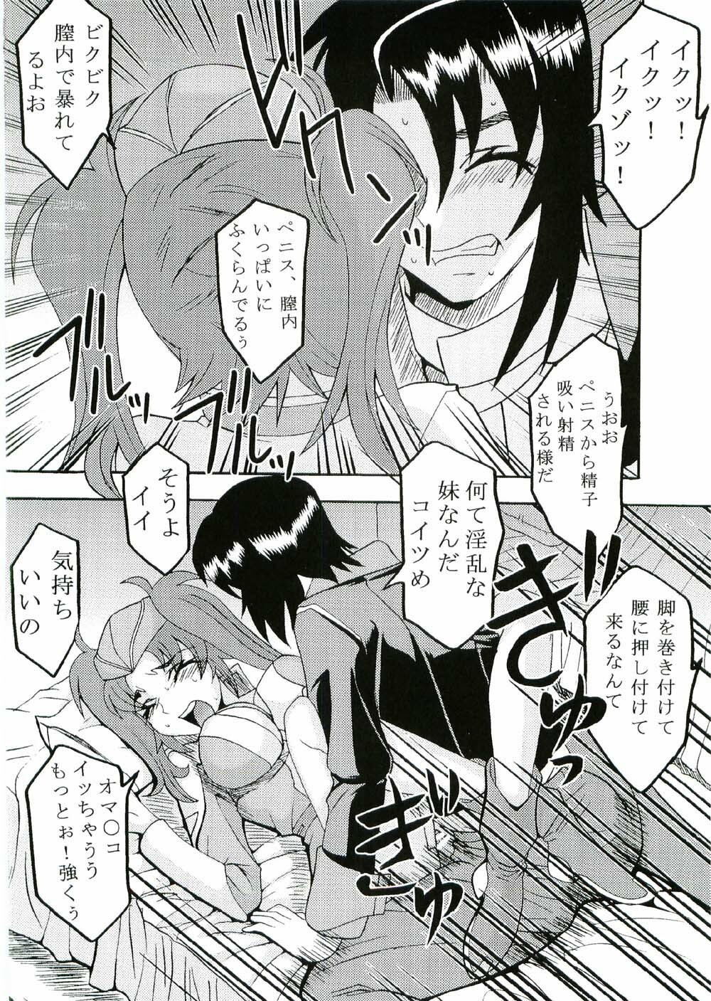 (CR37) [St. Rio (Kitty, Kouenji Rei)] COSMIC BREED 3 (Gundam SEED DESTINY) page 39 full