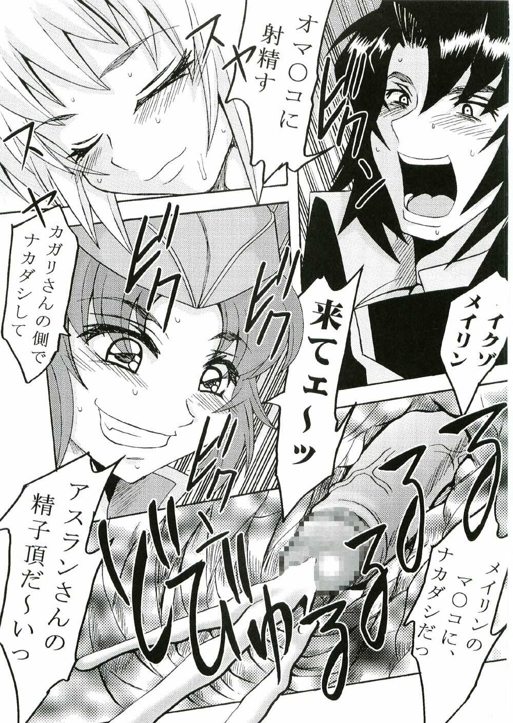 (CR37) [St. Rio (Kitty, Kouenji Rei)] COSMIC BREED 3 (Gundam SEED DESTINY) page 40 full