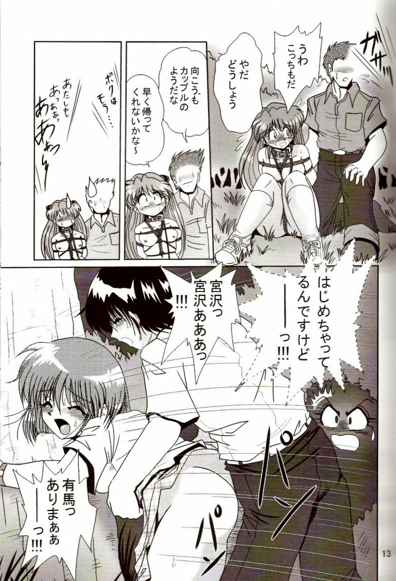 [Thirty Saver Street 2D Shooting (Maki Hideto, Sawara Kazumitsu)] Second Hobaku Project 2 (Neon Genesis Evangelion) page 12 full