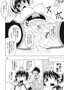 (C69) [St. Rio (Bomubomu Purin, Kitty, Kouenji Rei)] Kyou Kara Ore wa! Goshujin-sama 6 (Kore ga Watashi no Goshujin-sama [He Is My Master]) - page 47