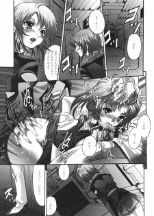 [STUDIO HAMMER ROCK (Itadaki Choujo)] Ikenie Shimai (Gundam Seed Destiny) - page 10