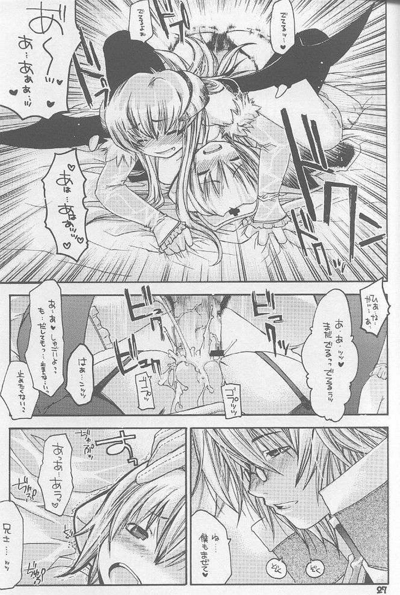 (C65) [Seinansei ni Kagayakeru Hoshi (Morino Papiko)] Ragnarok Yawa Level.3 (Ragnarok Online) page 24 full