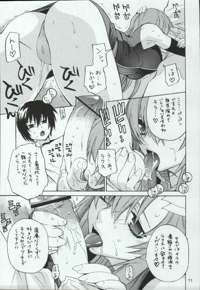 (C68) [Kouchaya (Ootsuka Kotora)] crossroad Hikari (Gundam SEED DESTINY) page 11 full