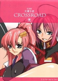 (C68) [Kouchaya (Ootsuka Kotora)] crossroad Hikari (Gundam SEED DESTINY) - page 1
