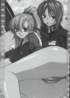 (C68) [Kouchaya (Ootsuka Kotora)] crossroad Hikari (Gundam SEED DESTINY) - page 3