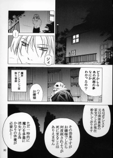 [Kouchaya (Ootsuka Kotora)] Kokuyoku no Tenma (Darkstalkers) - page 29