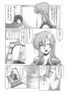 (C70) [GOLD RUSH (Suzuki Address)] Thank you! From Gold Rush (Gundam SEED DESTINY) - page 11