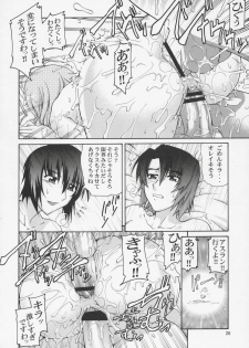 (C69) [GOLD RUSH (Suzuki Address)] Thank You! Lacus End (Gundam SEED Destiny) - page 25